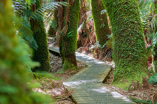 What Is Self-Advocacy for Lasting Health?