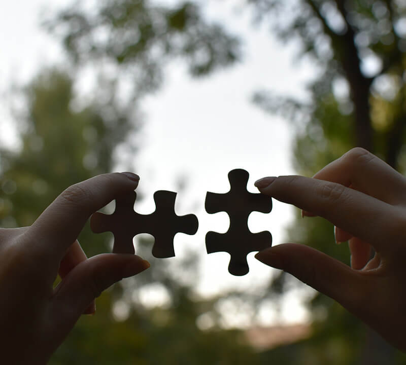 Rooted Allies peer group support for self-advocacy in health